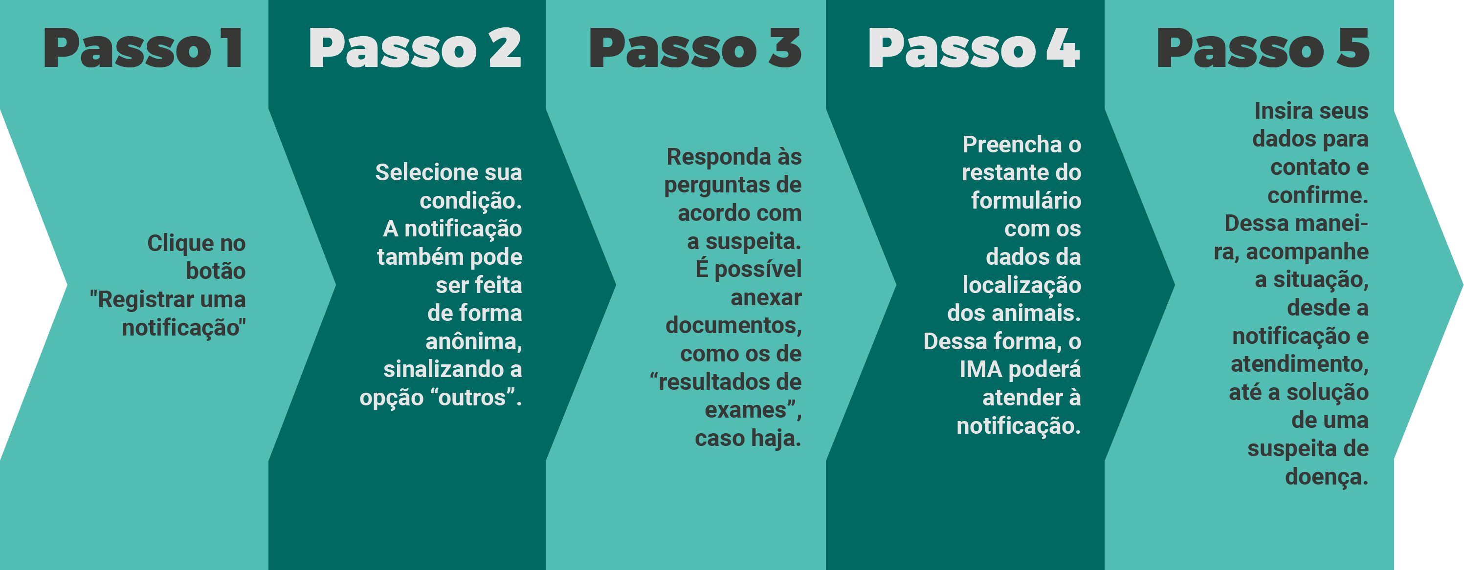 Passo a Passo esisbravet