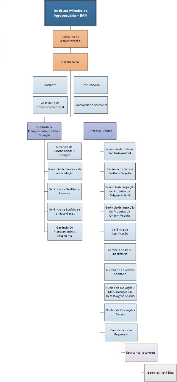 organograma jul 2020