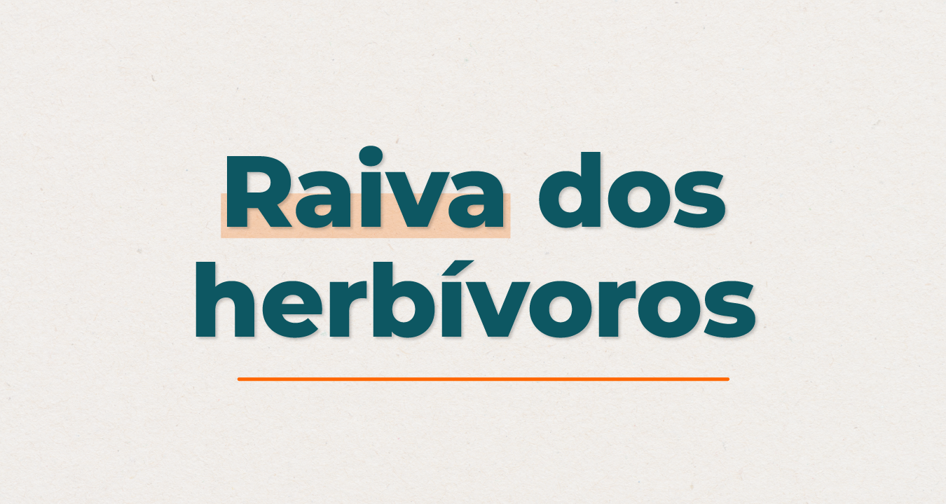 Vacine seus animais e faça a declaração no IMA